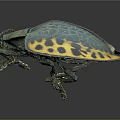 Vibrant Blue and Yellow Beetle with Spotted Shell and Intricate Body Details