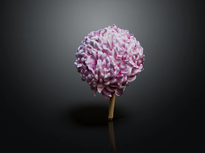 Spherical Purple And White Flower With Wooden Stem Against Dark Background 3d model