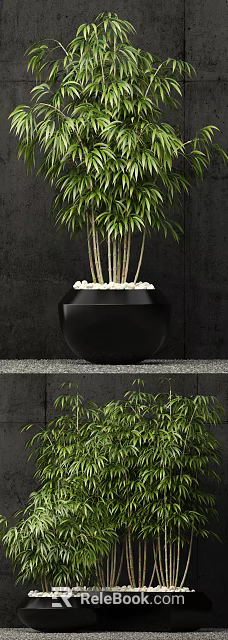 Stylish Bamboo in Black Planter with White Pebbles Against Dark Background Wall on Gravel Shelf 3d model 
