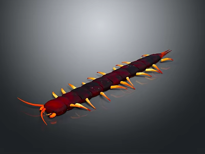 Detailed 3D Render Of Red And Black Centipede With Yellow Legs And Antennae 3d model