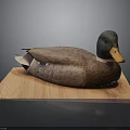 Brown Duck with Yellow Beak and Black Head on Wooden Board against Gray Background