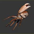 Aquatic Animal Orange Crab With Large Claws On Gray Gradient Background And Reflective Surface