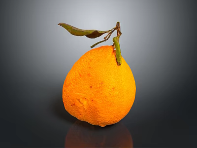 Fresh Ripe Orange With Green Leaf And Twig On Dark Reflective Surface 3d model