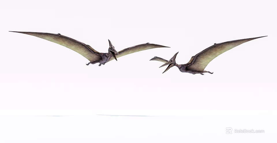 Prehistoric Flying Reptiles Pterosaurs Soaring High In Clear Sky With Broad Wings 3d model 