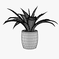Green Leafy Potted Plant In White Smooth Cylindrical Pot With Lush Foliage