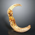 Crescent Shaped Animal Horn With Amber Crystals And Natural Texture On Dark Background