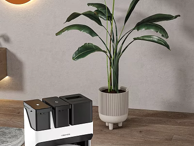 Smart Trash Can With Multiple Compartments Near Large Leafy Potted Plant On Wooden Floor 3d model