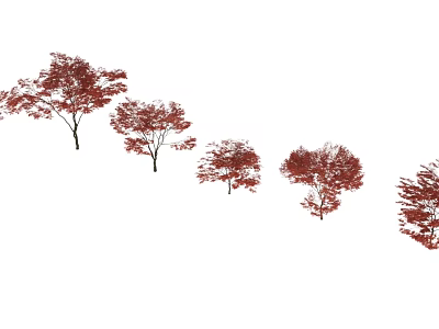 Multiple Deciduous Arbor Trees With Red Autumn Leaves In Landscape 3d model