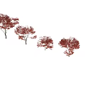 Multiple Deciduous Arbor Trees With Red Autumn Leaves In Landscape