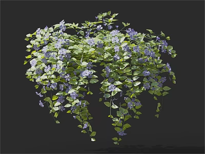 Hanging Plants With Purple Flowers And Green Vines For Home Decoration 3d model