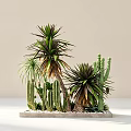 Concrete Tree Planter with Various Cacti Agave Plants and Pebbles in Light Background