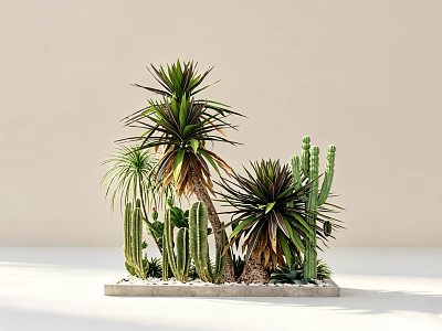 Concrete Tree Planter with Various Cacti Agave Plants and Pebbles in Light Background 3d model