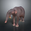 Gray Elephant With Long Trunk And Yellow Tusks Standing On Dark Background 3d model