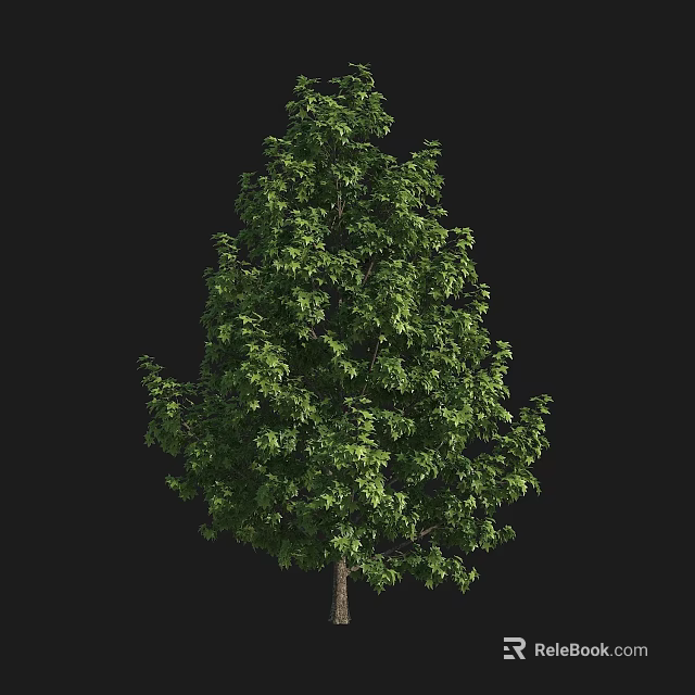 Lush Green Arbor With Dense Foliage And Strong Trunk On Black Background 3d model 