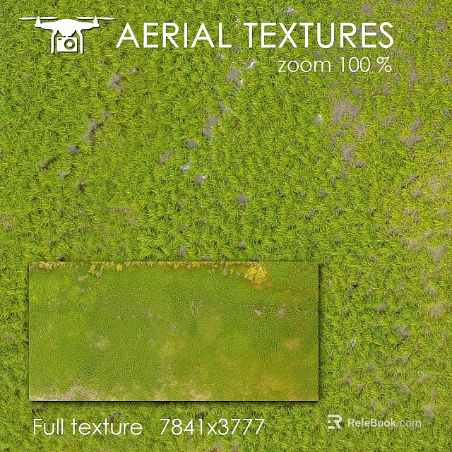 Aerial View Of Lush Green Vegetation With Zoom Detail Section 3d model 