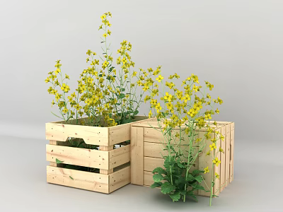 Wooden frame rape flower frame beautiful Chen 3d model