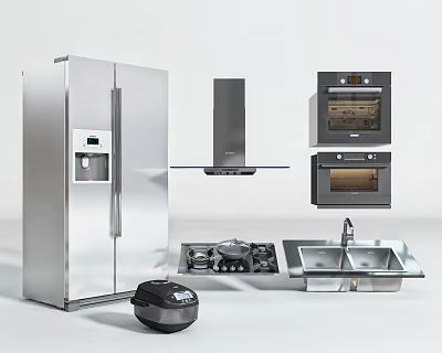 Essential Modern Kitchen Appliances Including Refrigerator Range Hood Ovens Gas Stove Sink and Rice Cooker 3d model