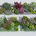 Various Garden Plants Mixed Flowers With Pink Purple Blooms And Stones