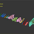 Colorful Reptile Models of Various Species Arranged in Row on Gray Background