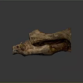 Natural Wood And Stone Sculpture With Organic Texture And Artistic Shape