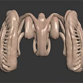 Detailed 3D Anatomical Structure Model With Light Pink Color And Reflective Surface Texture