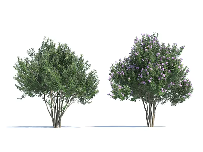Two Arbor Trees with Green Leaves and Purple Blossoms in Outdoor Space 3d model