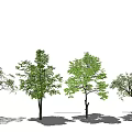 Modern Tree Landscape Tree Arbor Trees Plants 3d model