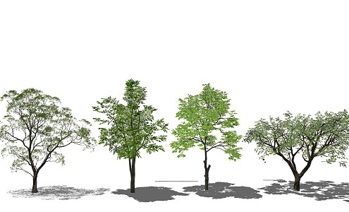 Modern Tree Landscape Tree Arbor Trees Plants 3d model