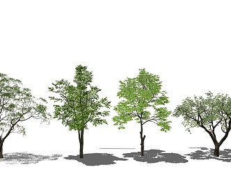 Modern Tree Landscape Tree Arbor Trees Plants 3d model