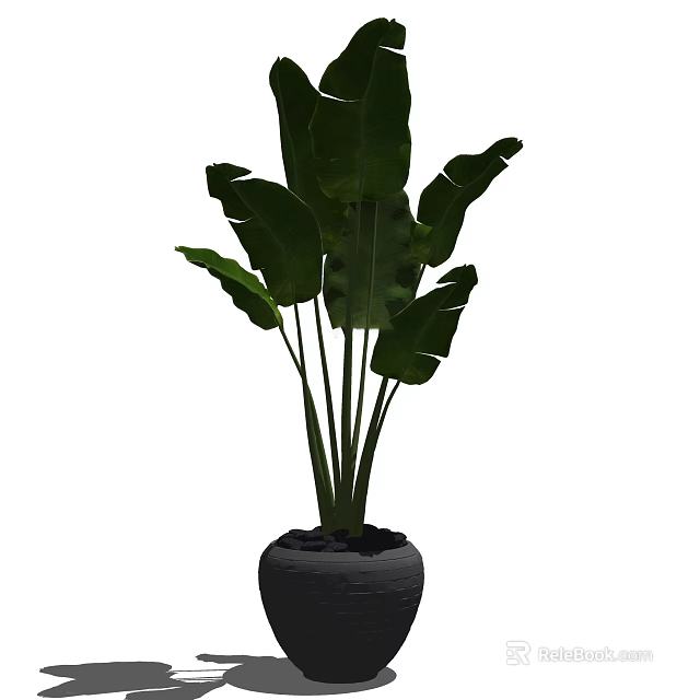 Indoor Potted Plant With Large Green Leaves In Black Decorative Pot 3d model 