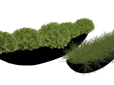 Lush Green Bonsai Plants in Black Containers with Dense Foliage and Grass like Leaves 3d model