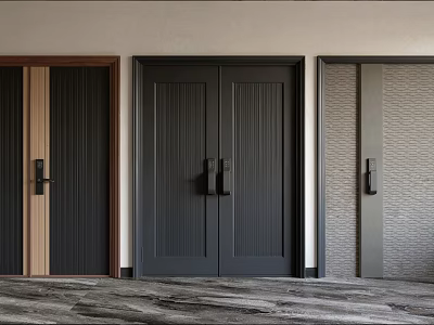 Modern Home Interior Showcasing Stylish Double Doors With Various Textures And Colors 3d model