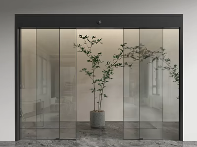 Modern Interior With Frosted Glass Sliding Doors And Green Plant In Grey Pot 3d model