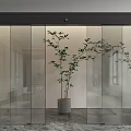 Modern Interior With Frosted Glass Sliding Doors And Green Plant In Grey Pot