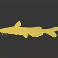 Yellow Green Catfish with Black Fins and Whiskers on Gray Background