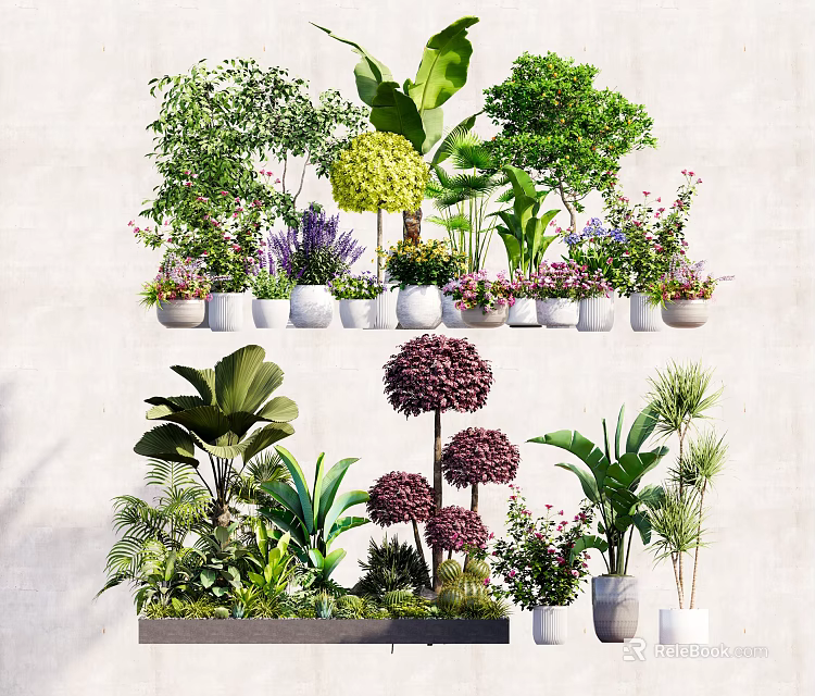 Various Types of Potted Plants with Decorative Ceramic Pots for Indoor Home Decoration 3d model 