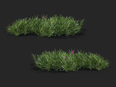 Fresh Green Grass With Several Pink Flowers Growing In Natural Setting 3d model