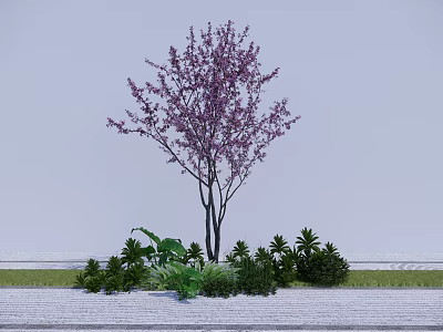 Tall Arbor With Purple Blossoms And Surrounding Green Shrubs Against Gray Wall 3d model