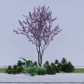 Tall Arbor With Purple Blossoms And Surrounding Green Shrubs Against Gray Wall