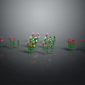 Colorful Flowering Plants With Green Leaves Arranged Neatly On Gray Background With Reflections