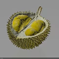 Ripe Durian Cut Open On Dark Background Showing Yellow Flesh And Spiky Outer Shell