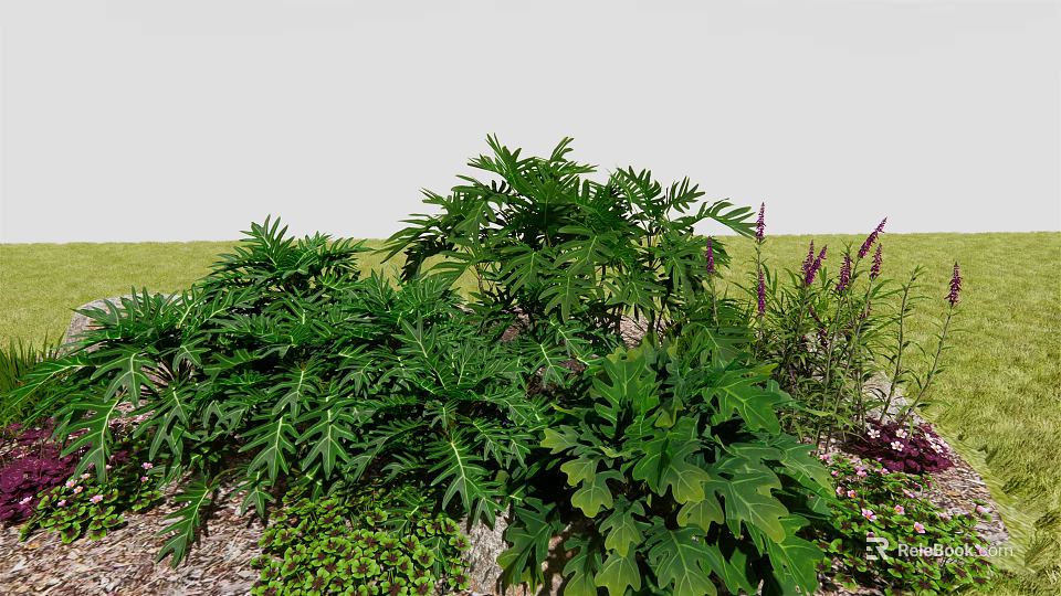 Lush Green Bushes with Large Leaves and Purple Flowers in Grass Garden 3d model 