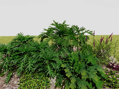 Lush Green Bushes with Large Leaves and Purple Flowers in Grass Garden 3d model