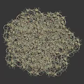 Complex 3D Intertwined Molecular Network Model with Light Beige and Pink on Dark Background