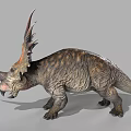 Realistic Triceratops Dinosaur Model with Horns Frilled Skull and Textured Body