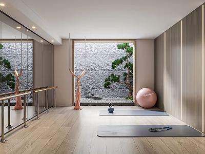 Yoga Fitness Studio Interior With Mirrors Wooden Floor Yoga Mat And Pine Tree View 3d model