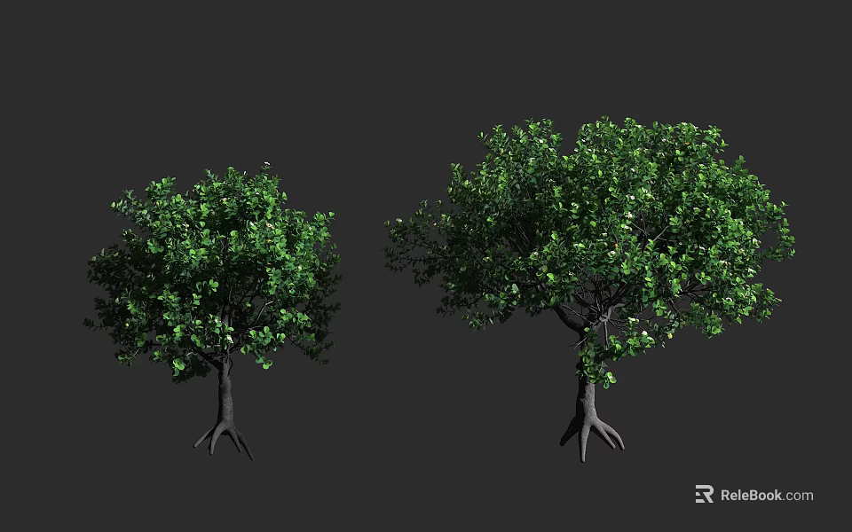 Two Green Arbor Trees With Lush Foliage And Exposed Root Systems 3d model