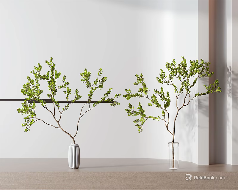 Modern White and Glass Vases with Fresh Green Branches for Home Decor 3d model 