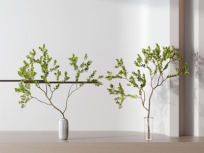 Modern Vase Bonsai Combo model