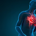 Advanced Medical Device for 3D Heart Visualization and Cardiac Health Monitoring